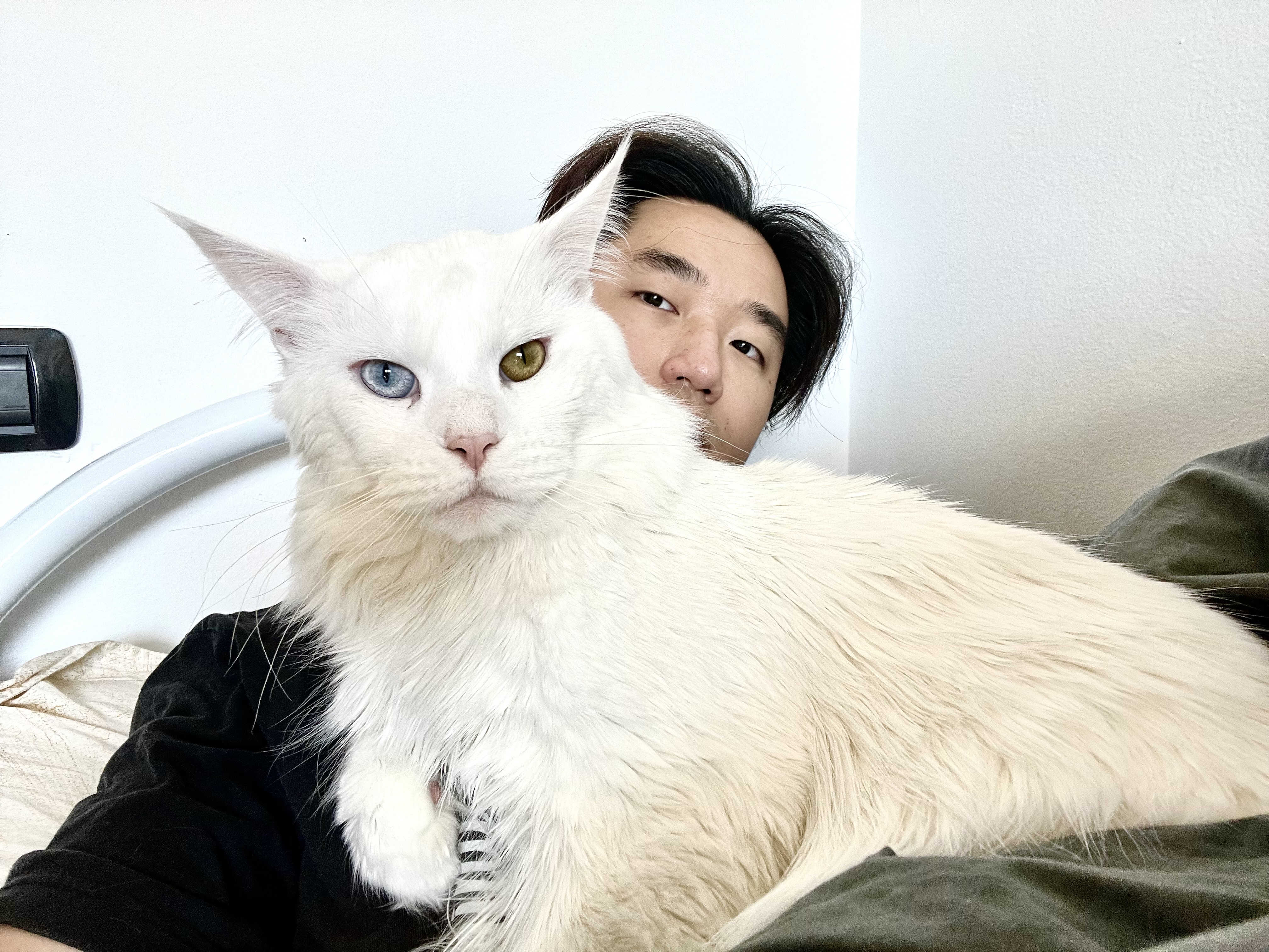 Alex with his Maine Coon